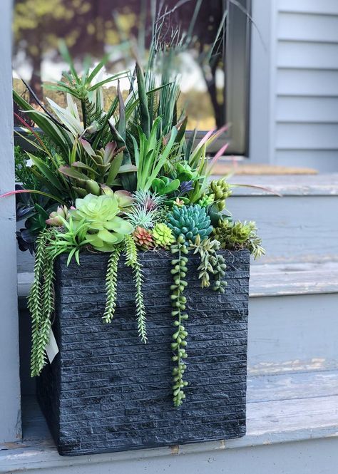 Outdoor Succulents, Succulent Garden Outdoor, Tall Succulents, Succulent Outdoor, Succulent Garden Landscape, Succulent Garden Indoor, Succulent Garden Design, Succulent Landscaping, Potted Plants Outdoor