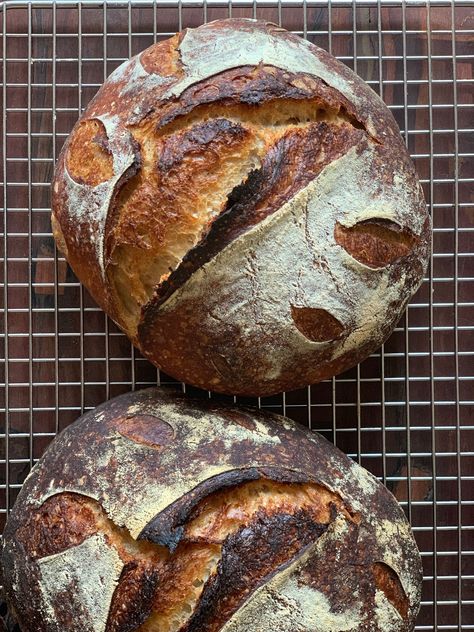 San Francisco Sourdough Bread, San Francisco Sourdough, Sourdough Rye, Wheat Belly Recipes, Sourdough Loaf, Sourdough Recipe, Homemade Sourdough Bread, California Food, No Carb Recipes