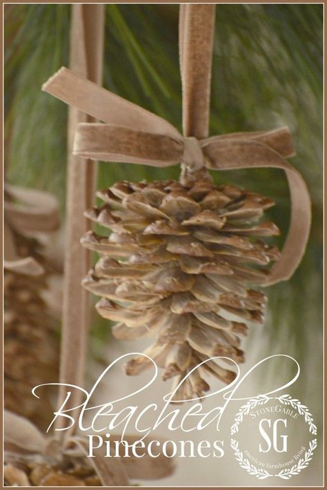 How to Make GORGEOUS Bleached Pinecones Pinecones Crafts, Bleached Pinecones, Pinecone Projects, Bleach Pinecones, Božićne Dekoracije, Stone Gable, Painted Pinecones, Diy Pinecone, Pinecone Ornaments