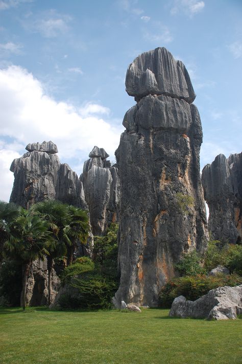 Stone Forest, Before The Flood, Yunnan China, Standing Stone, Ancient Forest, Ancient Mysteries, Landscape Illustration, Rock Formations, Nature Images