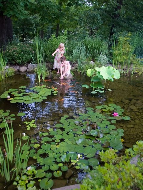 Landscape Backyard, Fish Pond Gardens, Taman Air, Design Backyard, Landscaping Backyard, Garden Pond Design, Swimming Pond, Natural Pond, Pond Landscaping