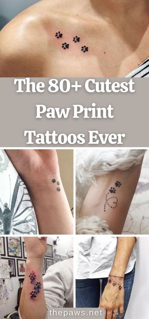 We've collected some of the most beautiful paw print tattoos ever to help you decide which is the best to decorate on your body. 3 Cat Paw Print Tattoo, Cute Dog Paw Tattoos, Dog Paw Prints Tatoos, Doggie Paw Tattoo, Paw Print Ankle Tattoos For Women, Cute Dog Print Tattoo, Cat Paw Print Tattoo On Wrist, Dog Print Memorial, Four Paw Print Tattoo