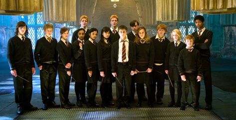 In Harry Potter and the Order of the Phoenix, Harry established Dumbledore's Army. Lots of things about the secretive group were cut from the movies. Harry Potter Questions, Harry Potter Witch, Harry Potter Groups, Harry Potter Dumbledore, Film Harry Potter, Which Hogwarts House, Matthew Lewis, Jason Isaacs, Harry Potter Ron