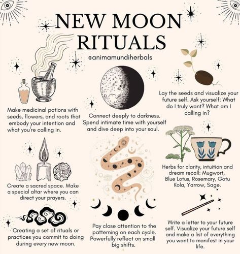 9 Things You Should (and Should Not!) Do During a New 🌑 Moon Witch Marks, Witchcraft Knowledge, Shadow Journal, Spiritual Understanding, Witchy Journal, Witch Spells, Witch Tools, Moon Magick, Wiccan Crafts