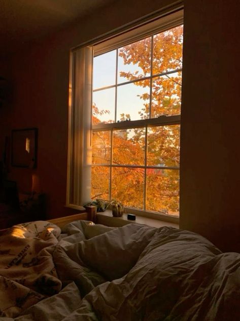 #fall #autumn #autumncolors #autumnmood #aesthetics #September #October #november Fall Spotify Playlist Cover, Autumn Playlist Cover, Tis Autumn, Spotify Aesthetic, Studera Motivation, Fall Boards, Fall Mood Board, Inspiration Tattoos, Fall Semester