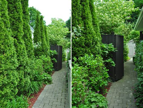 ideas for that narrow space in between suburban homes, flowers, gardening, hydrangea, landscape Landscape Between Neighbors, Landscaping Between Neighbors, Fenceline Garden, Foundation Landscaping, Border Trees, Red Mulch, Side Gardens, Side Walkway, Pallet Planters