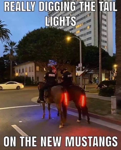 37 Vehicle Memes That Will Take You Far - Gallery Horse Jokes, Car Jokes, Funny Animals With Captions, Country Jokes, Funny Horses, Funny Animal Jokes, Funny Animal Memes, Animal Jokes, Funny Puns