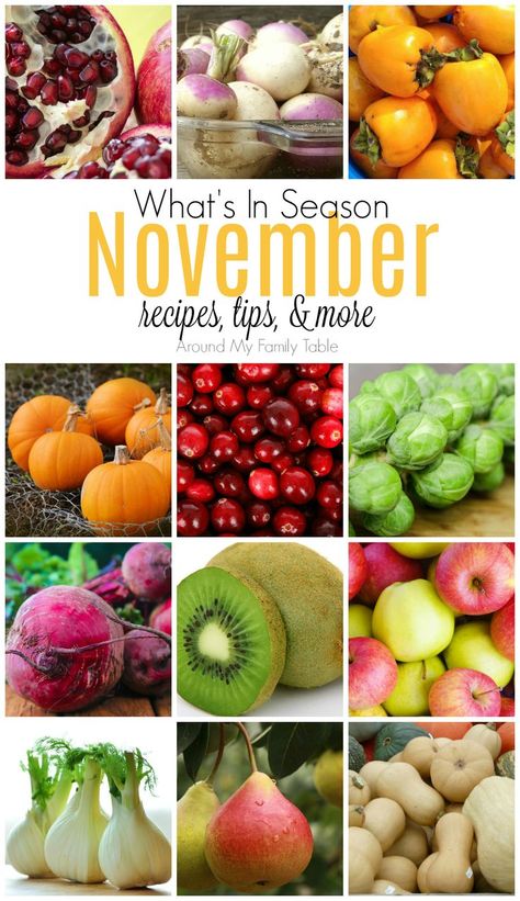 Bring on turkey & pie! This November Seasonal Produce guide has recipes, tips, and more for everything in season this month. #seasonalproduce #eatseasonally Fall Treats Recipes, Seasonal Produce Guide, Turkey Pie, Farmers Market Recipes, Whats In Season, Seasonal Produce, Survival Gardening, Eat Seasonal, Family Table