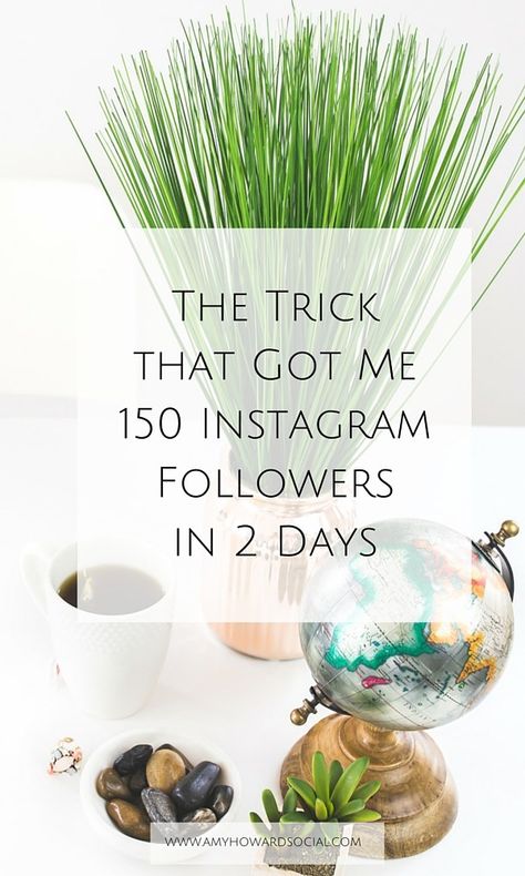 Are you trying to figure out how to gain more Instagram followers? If so, take a look at this trick that got me 150 Instagram followers in 2 days!! Gain Instagram Followers, Amy Howard, More Instagram Followers, Instagram Marketing Strategy, How To Gain, Instagram Marketing Tips, Instagram Strategy, Instagram Growth, Blog Social Media