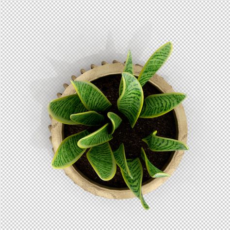 Plants For Photoshop, Plant Top View Png, Plants Photoshop, Plant Top View, Tree Plan Photoshop, Trees Top View, Materials Board Interior Design, Corporate Interior Design, Tree Plan