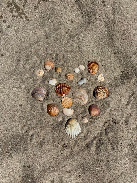 shell, beach aesthetic beach day, travel aesthetic, travel activities, travel inspo, summer, vacation aesthetic Beach Ig Aesthetic, Aesthetic Beach Activities, Simple Beach Aesthetic, Beach Getaway Aesthetic, Beach Travel Aesthetic, Summer Beach Day Aesthetic, Beach Activities Aesthetic, Beach Ig Feed, Beach Aesthetic Icons