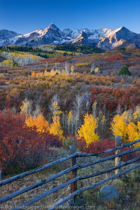 Autumn colors, Dallas Divide, Colorado. Colorado Prints, San Juan Mountains Colorado, Colorado Aesthetic, Colorado Photos, Rocky Mountains Colorado, Gunnison National Park, Aspen Art, Mountains Colorado, Colorado Fall