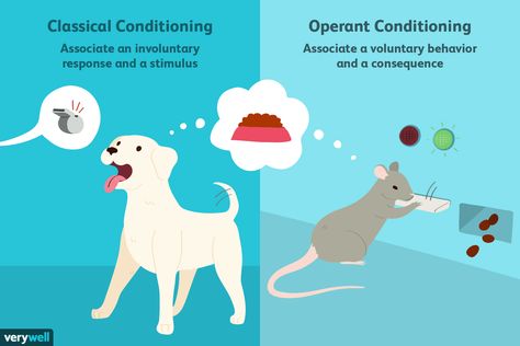 Classical Conditioning Psychology, Aba Training, Classical Conditioning, Classical Guitar Lessons, Teaching Psychology, Operant Conditioning, Animal Studies, Cognitive Psychology, Personality Psychology