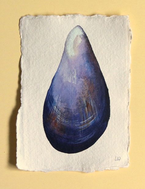 Mussel shell original watercolour study by SeasideStudiosUK Study Illustration Art, Watercolour Sea, Illustration Art Painting, Study Illustration, Mussel Shell, Sea Life Art, Daily Walks, Painted Shells, Watercolor Paintings Easy