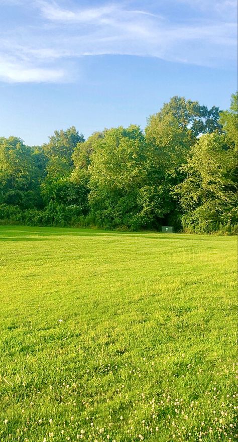 Open Green Space, Pretty Grass Field, Field Background Nature, Green Fields Photography, Background Grass Nature, Grass Asethic, Grass Background Aesthetic, Grass Picture Ideas, Grass Aesthetic Wallpaper