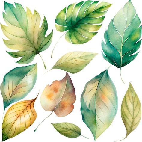 Premium PSD | A collection of different leaves and fruits including one that has the leaves on it Different Leaves, Plant Clipart, Printable Leaves, Leaves Sketch, Colouring Ideas, Leaf Watercolor, Leaf Clipart, Leaf Images, Mark Making