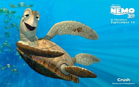 Crush - Pixar Wiki - Wikia Finding Nemo Turtle, Crush Finding Nemo, Disney Finding Nemo, Surfer Dude, Pixar Characters, Turtle Love, Turtle Painting, Turtle Art, A Turtle