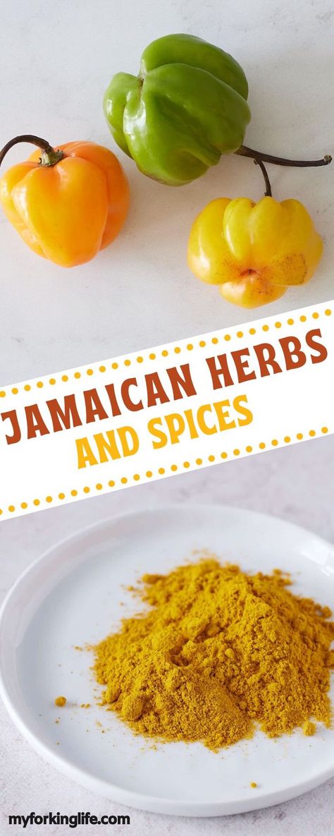 These are the most popular herbs and spices that are utilized in Jamaican cooking and are the perfect way to spice up your cooking. Learn about each flavor profile to never have boring meals again. Must Have Spices, Spice Combinations, Black Food, Spices And Herbs, Herbs And Spices, Instant Pot Pressure Cooker, Heart And Soul, Pressure Cooker Recipes, Southern Recipes