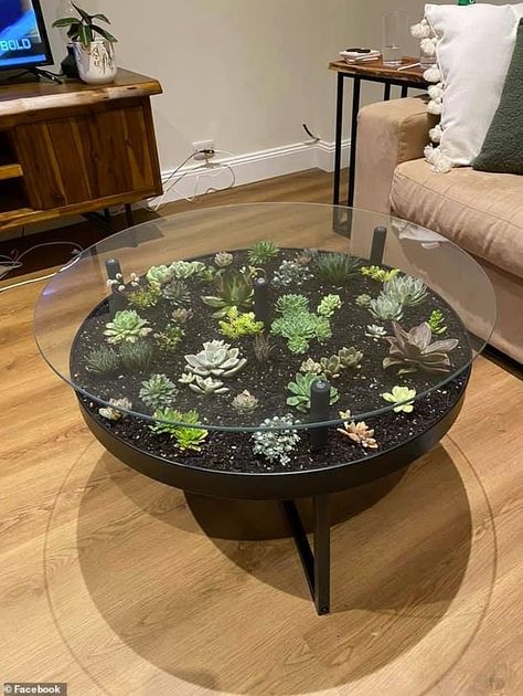 Plant Table Ideas, Coffee Table Hacks, Terrarium Table, Ikea Plants, Ikea Coffee Table, Coffee Table Plants, Rustic Wooden Table, Garden Coffee Table, Planter Table