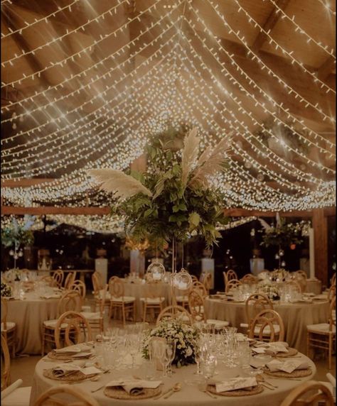 Ceiling Of Lights Wedding, Fairy Wedding Indoor, Wedding Lights Ceiling, Wedding Hanging Lights Indoor, Wedding Party Lights, Wedding Lights Decorations, Outdoor Wedding Fairy Lights, Wedding Reception Lighting Indoor, Ceiling Draping Wedding Reception Halls