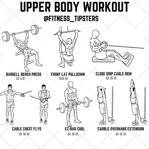 Upper Body Workout Men, Upper Body Workout For Men, Upper Body Workout Gym, Full Upper Body Workout, Deadlift Squat, Cable Workout, Bodybuilding Workout Plan, Gym Workouts For Men, Gym Workouts Women