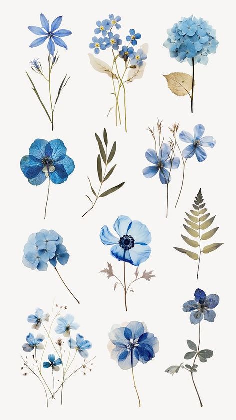 Pressed Flowers Printable, Blue Flowers Printable, Blue Pressed Flowers, Blue Design For Scrapbook, Virat Wallpapers, Flowers Aesthetic Blue, Blue Flowers Stickers, Aesthetic Flower Stickers Printable, Moodboard Elements