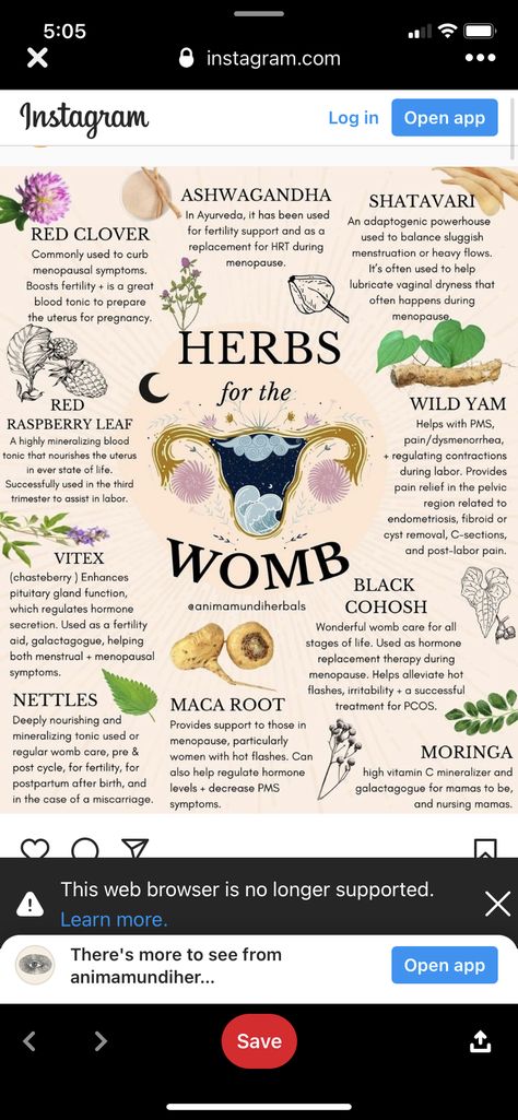 Herbs For Fertility, Kitchen Witch Recipes, Herbal Cleanse, Red Raspberry Leaf, Womb Healing, Balance Hormones Naturally, Fertility Boost, Feminine Health, Herbal Tea Blends