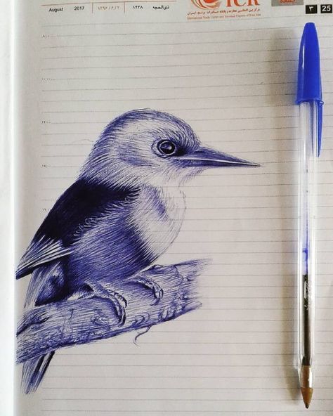 blue ballpoint pen animal drawing Pen Animal Drawings, Ballpen Drawing, Biro Drawing, Woodpecker Bird, Biro Art, Perfect Handwriting, Ballpoint Pen Art, Pen Art Work, Blue Drawings