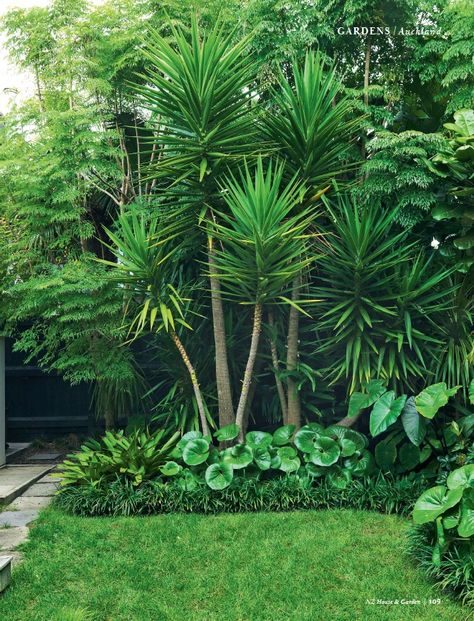 Plants And Pots Ideas, Nz Landscape Design, Tropical Garden Inspiration, Beautiful Backyard Garden Inspiration, Hibiscus Garden Landscaping, Tropical Garden Design Landscaping, Tropical Courtyard Garden, Auckland Garden, Modern Tropical Garden