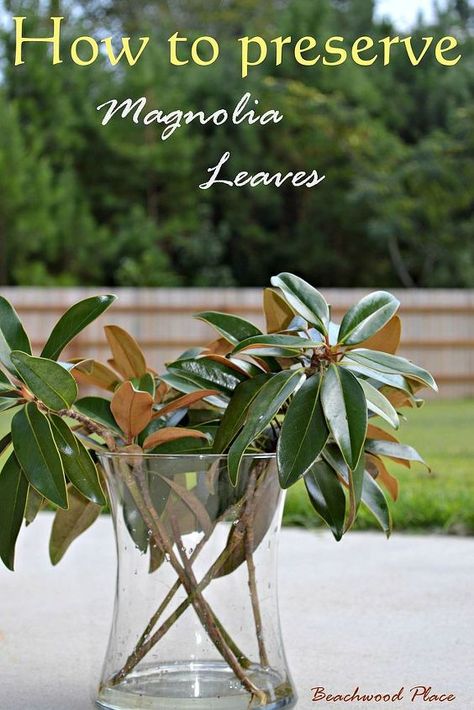 Preserve Magnolia Leaves, Diy Magnolia Wreath, Leaves Diy, Magnolia Wreath, Magnolia Leaves, Diy Vase, Leaf Decor, Back To Nature, Christmas Centerpieces