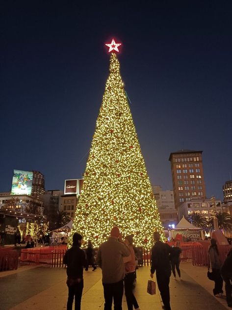 San Francisco Winter, Macys Christmas, Aesthetic San Francisco, San Francisco Christmas, Christmas In San Francisco, San Francisco Aesthetic, Union Square San Francisco, California Christmas, Au Pair