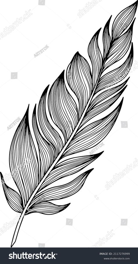 How To Draw A Feather, Feathers Drawing, Feathers Illustration, Feather Sketch, Art Painting Diy, Feather Artwork, Feather Drawing, Feather Vector, Feather Texture