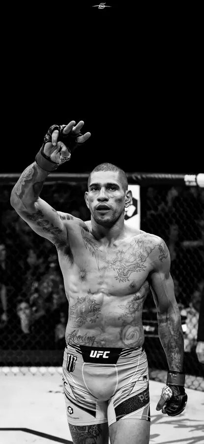 Alex Pereira Wallpaper, Alex Sandro, Ufc Poster, Alex Pereira, Hand Wallpaper, Monochrome Wallpaper, Boxing Images, Ufc Boxing, Nate Diaz