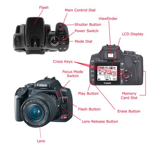 photo diagram Camera Parts Diagram, Camera Diagram, Parts Of A Camera, Photography Gadgets, Camera Lessons, Photography Studio Equipment, Grandfather Tattoo, Kamera Dslr, Manual Photography