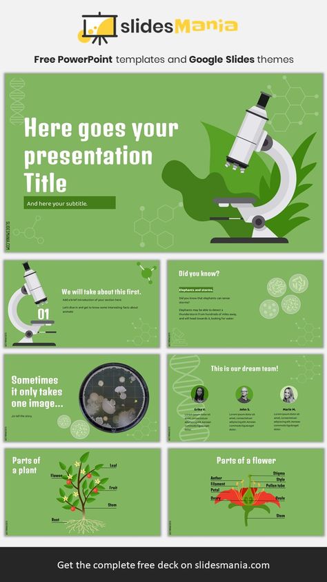 Free biology PowerPoint template and Google Slides theme. If you are teaching about cells, bacteria or anything microscopic, this template might work! I’ve included a couple of slides with activities for elementary students: drag the names of the parts of a flower or a plant to their correct spot! I’ve also included some illustrations of 3 different cells types: red blood cells, liver cells and stem cells. Cell Biology Ppt Template, Powerpoint Templates Biology, Biology Presentation Template, Biology Ppt Template, Biology Powerpoint Templates, Biology Presentation Design, Biology Background Powerpoint, Biology Presentation, Biology Template