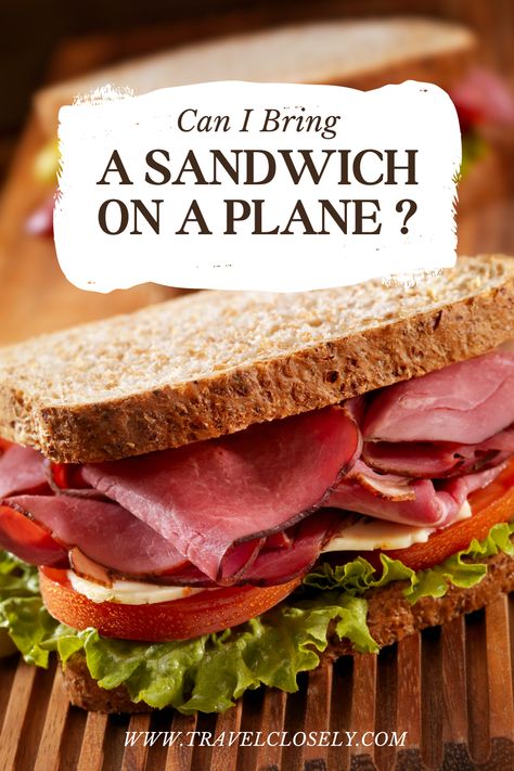 So can I bring a sandwich on a plane?  When it comes to taking sandwiches or food in general on planes, you are good to go as long as your snack or meal is solid but if you want to take some form of liquid with your sandwich there are certain restrictions. #airplane-food #airplane-etiquette #TSA-rules  #airplane #traveling #snacks #TSA-food-rules #long-flights #healthy-food #TSA-snacks #airplane-etiquette Food To Pack On A Plane Long Flights, Food For Plane Travel, Airplane Lunch Ideas, Flight Food Ideas, Plane Food Long Flights, Food For Airplane Travel, Airplane Food Long Flights, Snacks To Take On A Plane, Plane Snacks Long Flights