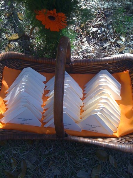 Butterfly Release Funeral - Cloverlawn Butterflies Butterfly Release Company Butterfly Release At Wedding, Butterfly Memorial Ideas, Butterfly Release Memorial, Butterfly Release Wedding, Monarch Butterfly Habitat, Butterfly Release, Butterfly Facts, Butterfly Migration, Butterfly Video