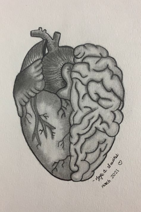 Drawing Meaningful, Human Heart Drawing, Learn Everyday, Brain Drawing, Heart And Brain, Half Heart, Pencil Sketch Images, Easy Love Drawings, Heart Sketch