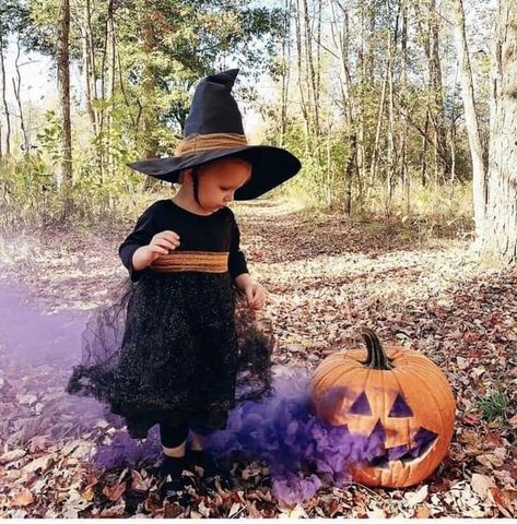 Halloween First Birthday, Witch Photos, Toddler Photoshoot, Monthly Pictures, Fall Family Pictures, Baby Witch, Halloween Photoshoot, Toddler Halloween, Halloween Photos