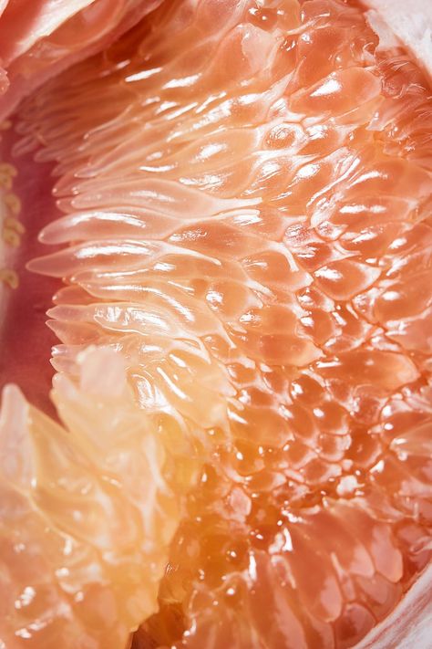 Moroccan Radicchio + Pomelo Salad / Hello My Dumpling by Jenny Huang Radicchio Salad, Food Texture, Texture Inspiration, Fruit Photography, Texture Photography, Wallpaper Ipad, Wallpaper Pastel, Wallpaper Android, Orange Aesthetic