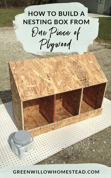 Diy Chicken Coop Ideas, Decorating Backyard, Coop Layout, Reban Ayam, Chicken Coop Ideas, Coop Decor, Cute Chicken Coops, Chicken Coop Garden, Duck Coop