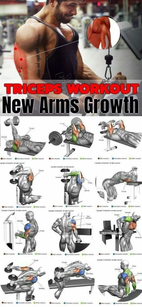 Basic Exercise, Men Exercise, Arm Training, Bicep And Tricep Workout, Body Build, Gym Antrenmanları, Dumbell Workout, Gym Workout Chart, Tricep Extension