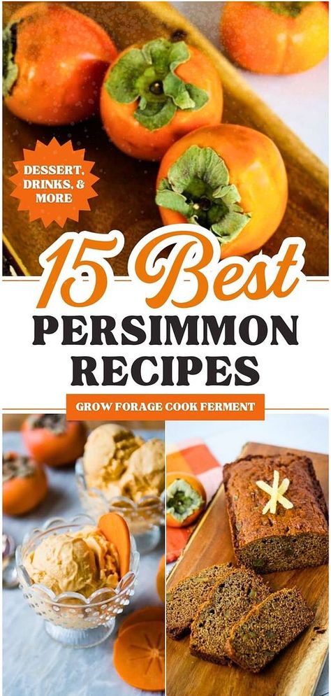 Dive into the world of 15 Best Persimmon Recipes. Explore the delight of persimmon jam, the richness of hachiya and fuyu persimmons, and the sumptuous persimmon bread. Every bite of these Persimmon Recipes promises an unforgettable taste sensation. Find more persimmon recipe ideas, seasonal fall recipes, and ways to use persimmons at growforagecookferment.com! Persimmon Cake Recipe, Persimmon Muffins, Persimmon Jam, Persimmon Cookies, Healthy Homemade Granola Recipe, Seasonal Recipes Fall, Persimmon Bread, Persimmon Pudding, Easy Winter Recipes