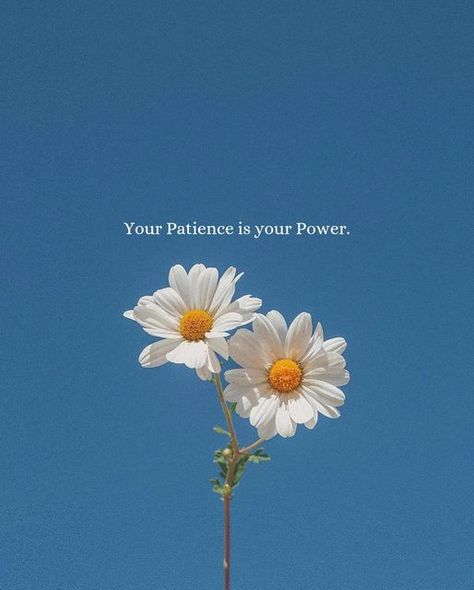 Bookthoughs on Instagram: "Yes or not 🚫 . . . 📸:-@of.suso" Your Patience Is Your Power, Nature Quotes Beautiful, Good Vibes Wallpaper, Words Positive, Keep Going Quotes, Be Resilient, Positive Quotes Wallpaper, Tiny Quotes, Find Your Purpose