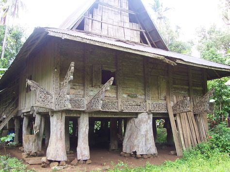 Maranao Torogan: An Ethnographic Perspective » Maranao torogan Genetic Drift, Philippine Architecture, Filipino House, Filipino Architecture, Storybook House, Philippine Houses, Philippines Culture, Theory Of Evolution, Filipino Culture