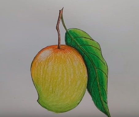 *FR*Mango Drawing & Sketches for Kids Fruit Drawing For Kids, Basic Drawing For Kids, Drawing Fruit, Oil Pastel Techniques, Fruit Drawing, Fruit Art Drawings, Drawing Lessons For Kids, Fruits Drawing, Easy Drawings For Kids