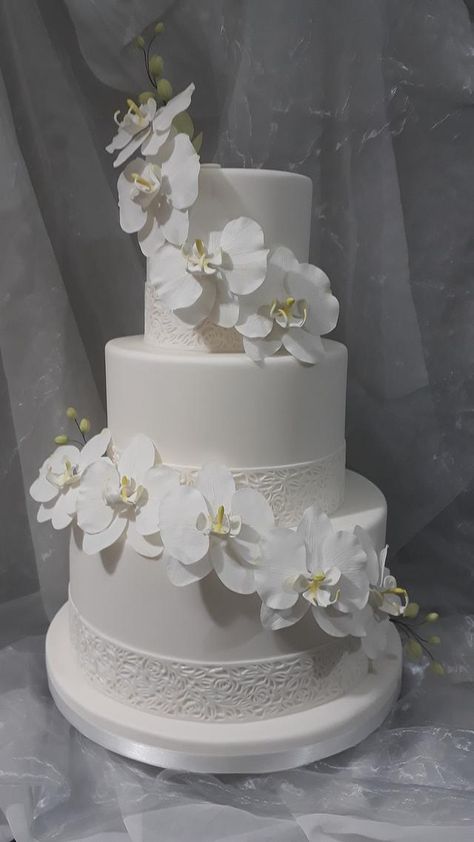 Orchid Centerpieces Wedding, Orchid Wedding Cake, White Orchids Wedding, White Orchid Wedding, Wedding Cake Centerpieces, Wedding Cake Options, Wedding Cake Cookies, Country Wedding Cakes, Black Wedding Cakes