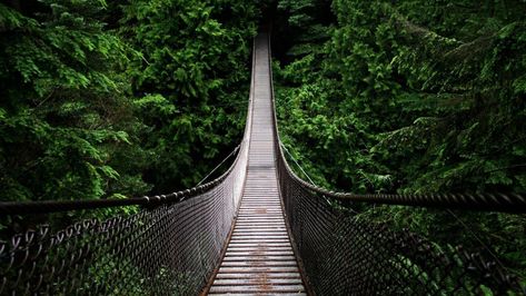 1920x1080 Best Pc Wallpaper Hd 1080p Nature Desktop P Image Backgrounds Images ... Wald Wallpaper, Lynn Canyon Suspension Bridge, Lynn Canyon, Bridge Wallpaper, Queen Elizabeth Park, 2560x1440 Wallpaper, Amazon Forest, Image Nature, Wooden Bridge