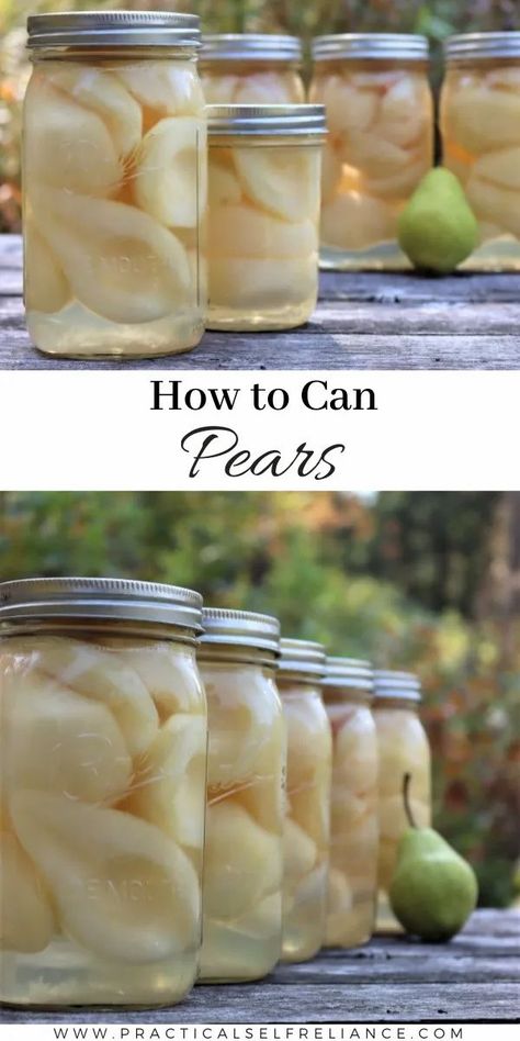 Canned Pears In Light Syrup, How To Can Pears In Light Syrup, Light Syrup For Canning Pears, Canning Pears In Honey Syrup, Canning Pears Raw Pack, What To Do With Pear Peels, Water Bath Canning Pears, Light Syrup For Canning Fruit, What To Do With Extra Pears