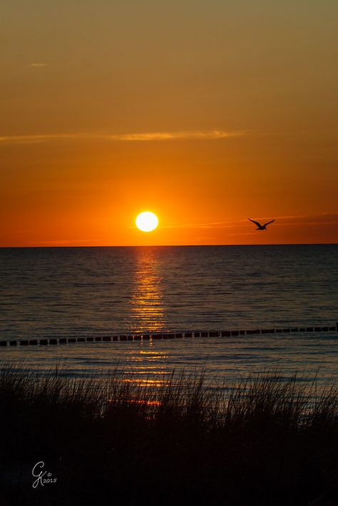 Sun goes down. | Zingst, Germany. | Grit Kästner | Flickr Yellow Sky, Ocean Wallpaper, Sun Goes Down, Beautiful Sunset, Couple Photography, Germany, Celestial Bodies, Sun, Photography